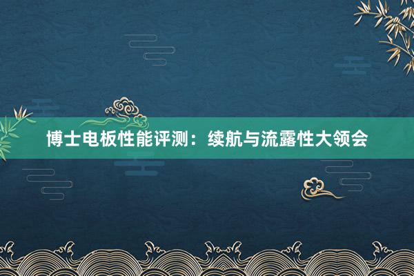 博士电板性能评测：续航与流露性大领会